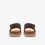 حزام أرويل من كلاركس (مقاس قياسي)