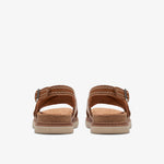 حزام أرويل من كلاركس (مقاس قياسي)