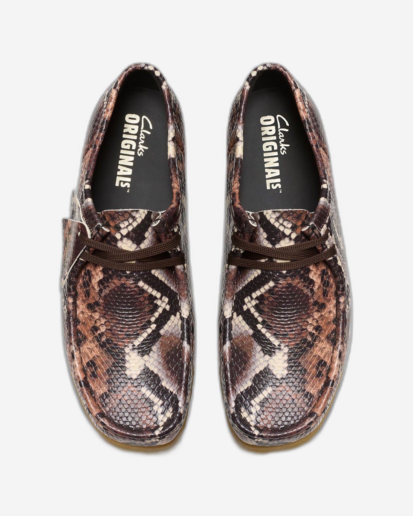 كلاركس والابي (مقاس قياسي)