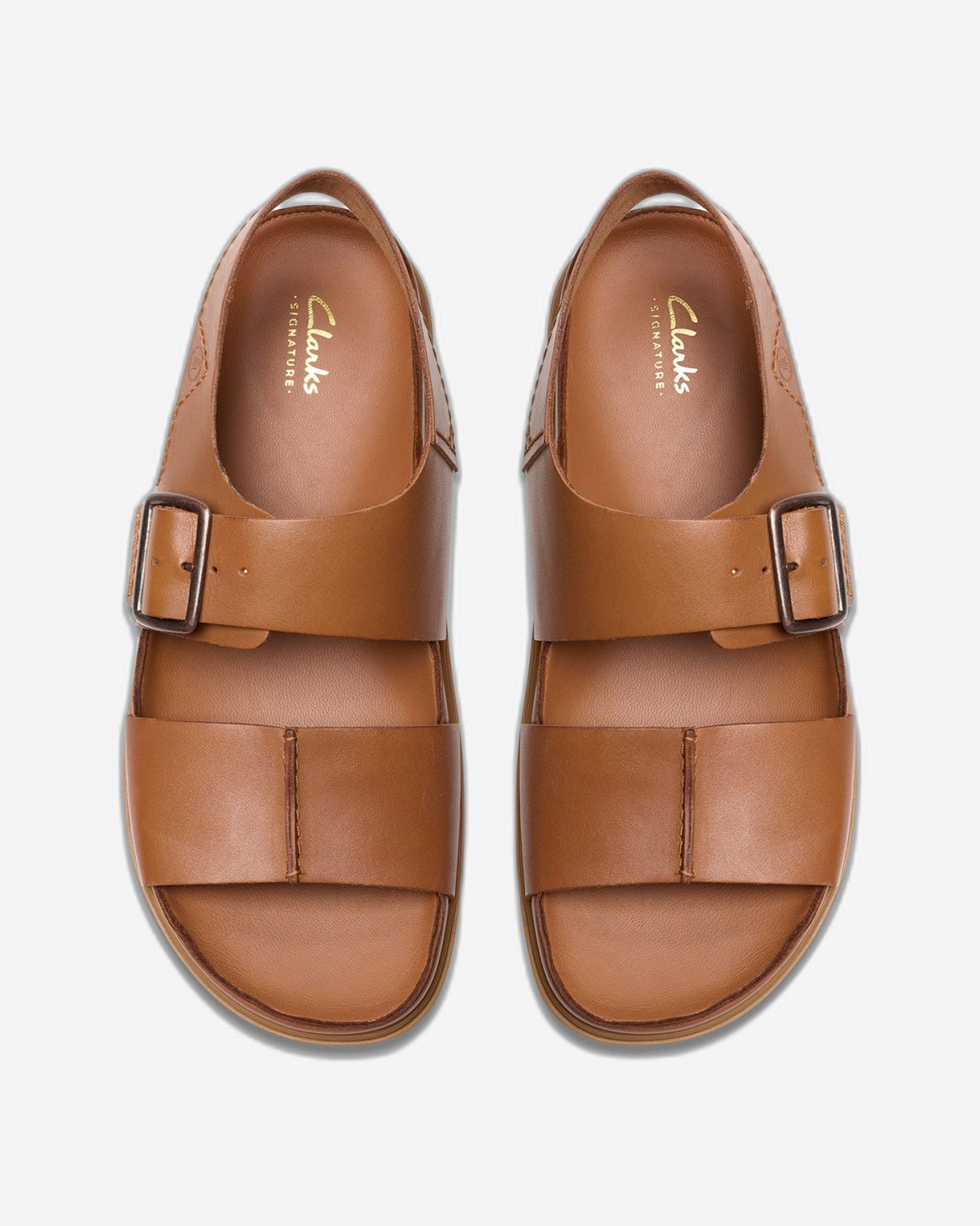 حزام كلاركس تورفورد (مقاس قياسي)