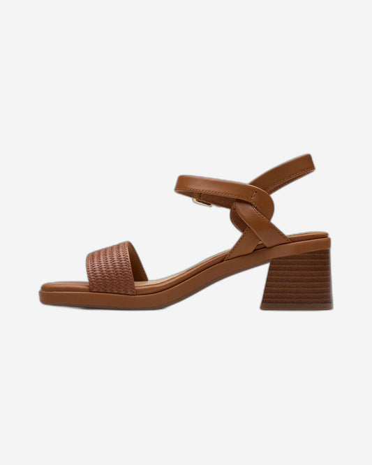 كلاركس جايلان راي (مقاس قياسي)