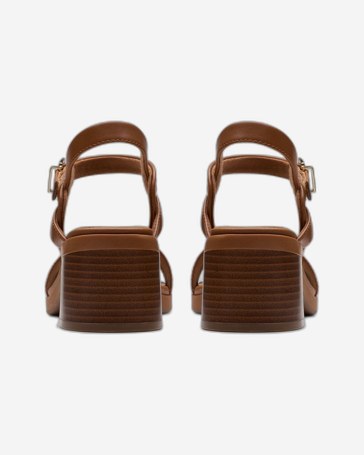 كلاركس جايلان راي (مقاس قياسي)