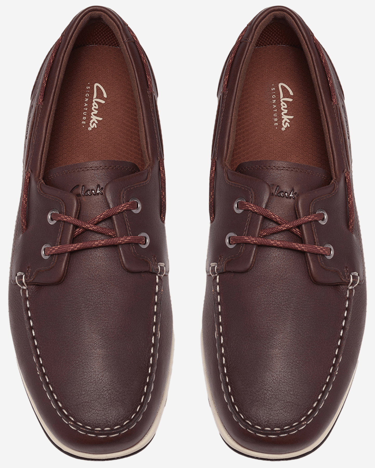 Clarks Orson Sail (Standard)
