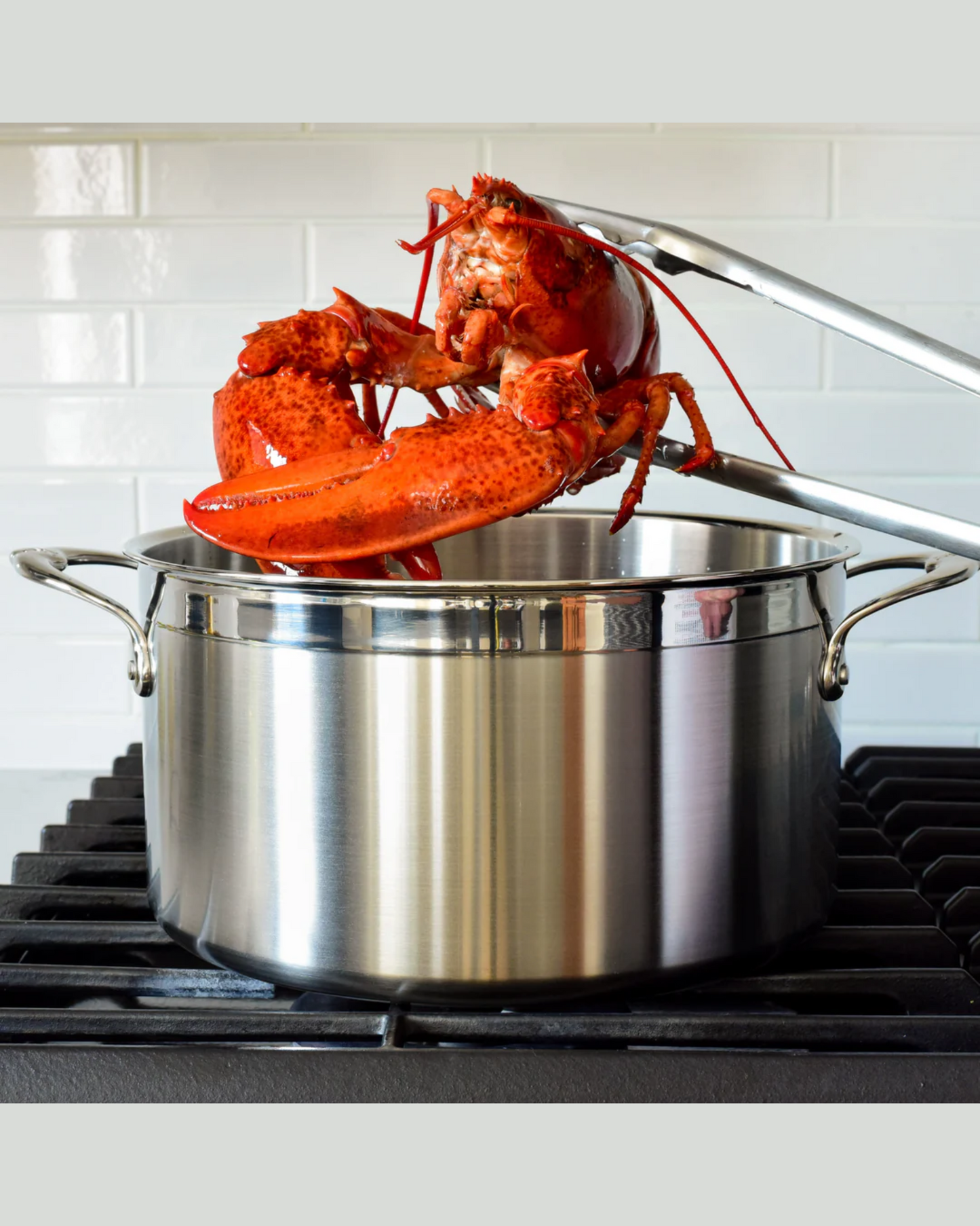 Hestan Probond Stockpot 26cm