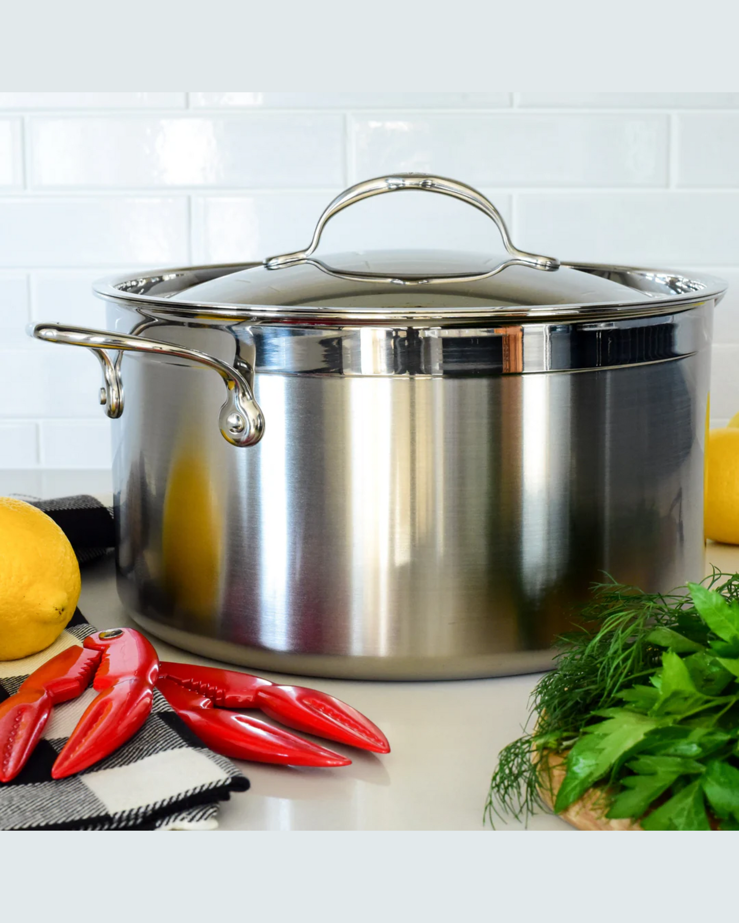 Hestan Probond Stockpot 26cm