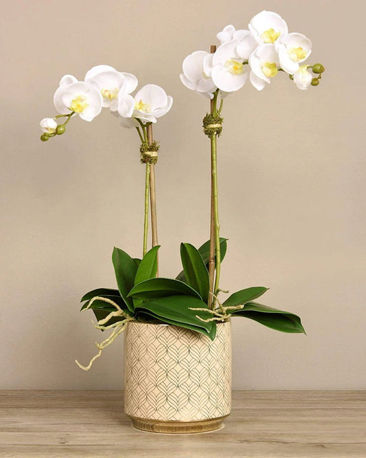 وعاء من الكتان "أوركيد" باللون الأبيض مع نقش ذهبي