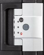 ديلسي باريس بلفور