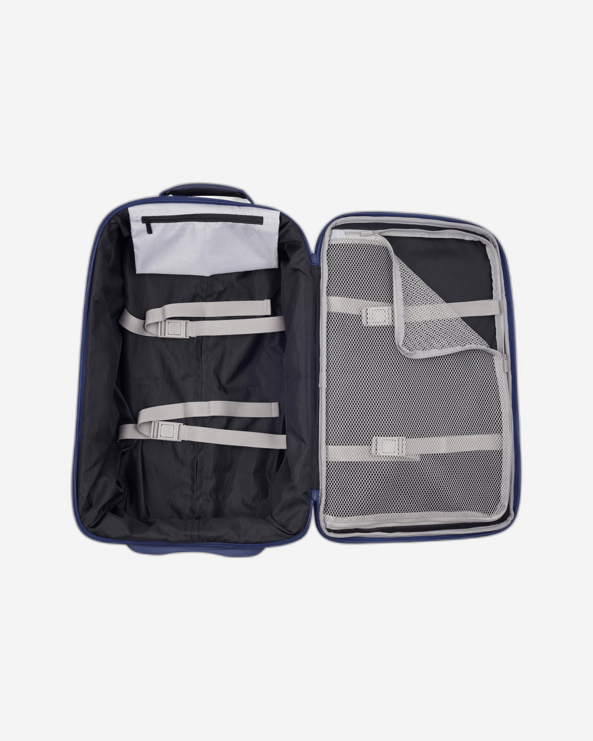 ديلسي باريس مونتسوريس