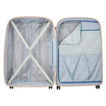 درع ديلسي باريس الجوي