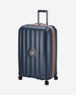 دلسي باريس كاروسيل