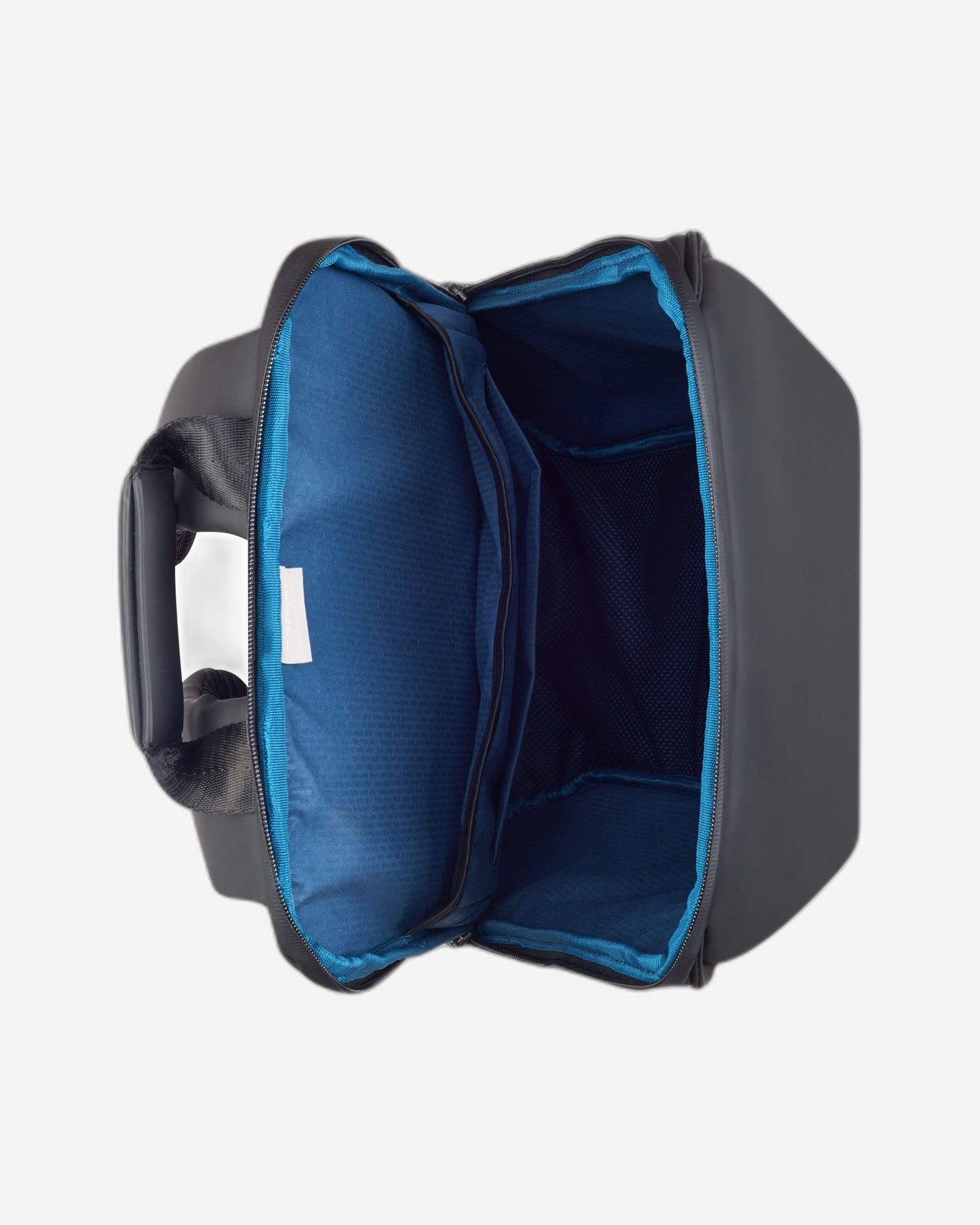 ديلسي باريس سيكورين