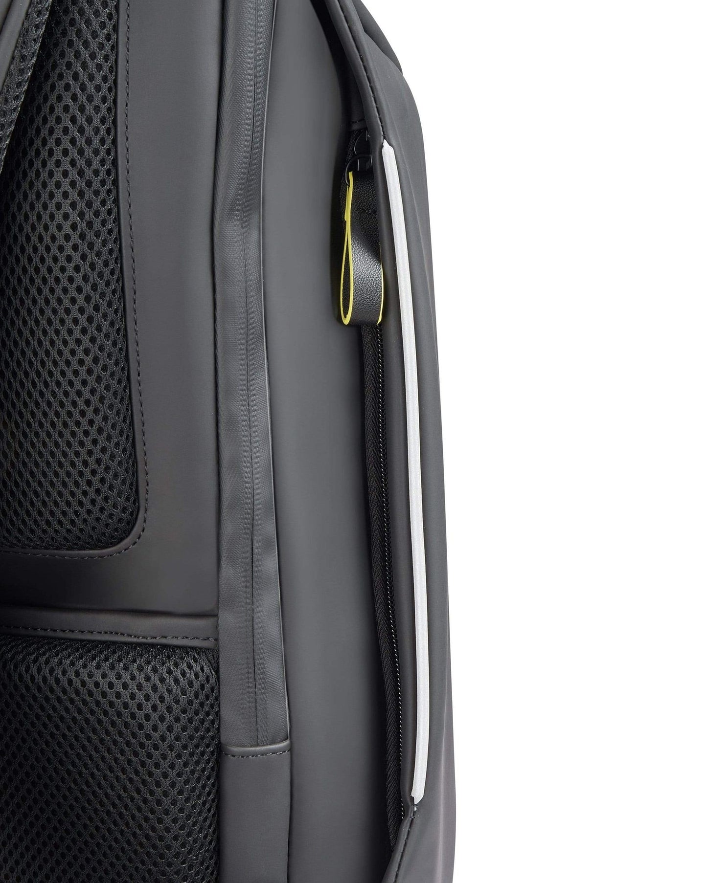 ديلسي باريس سيكورين