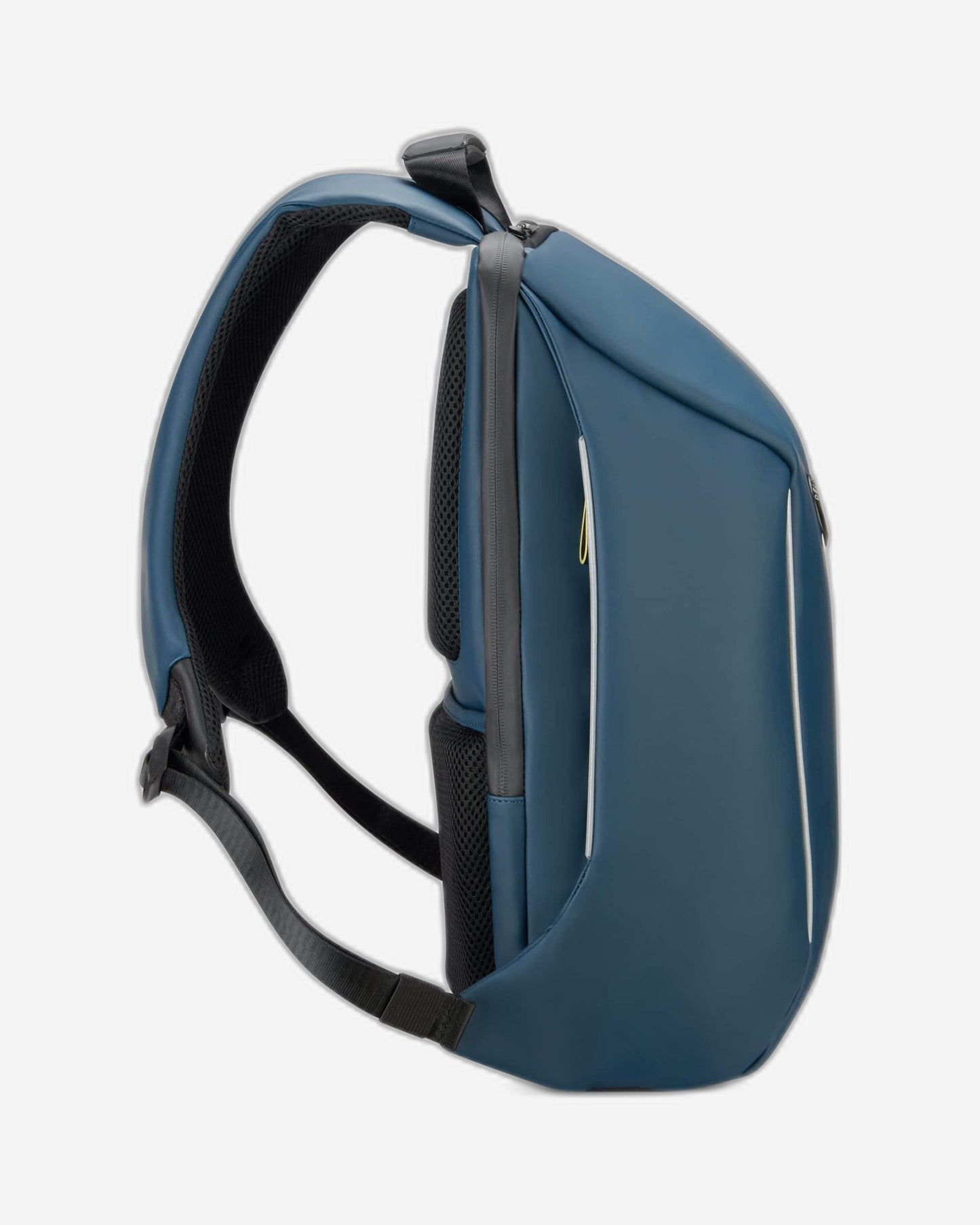 ديلسي باريس سيكورين