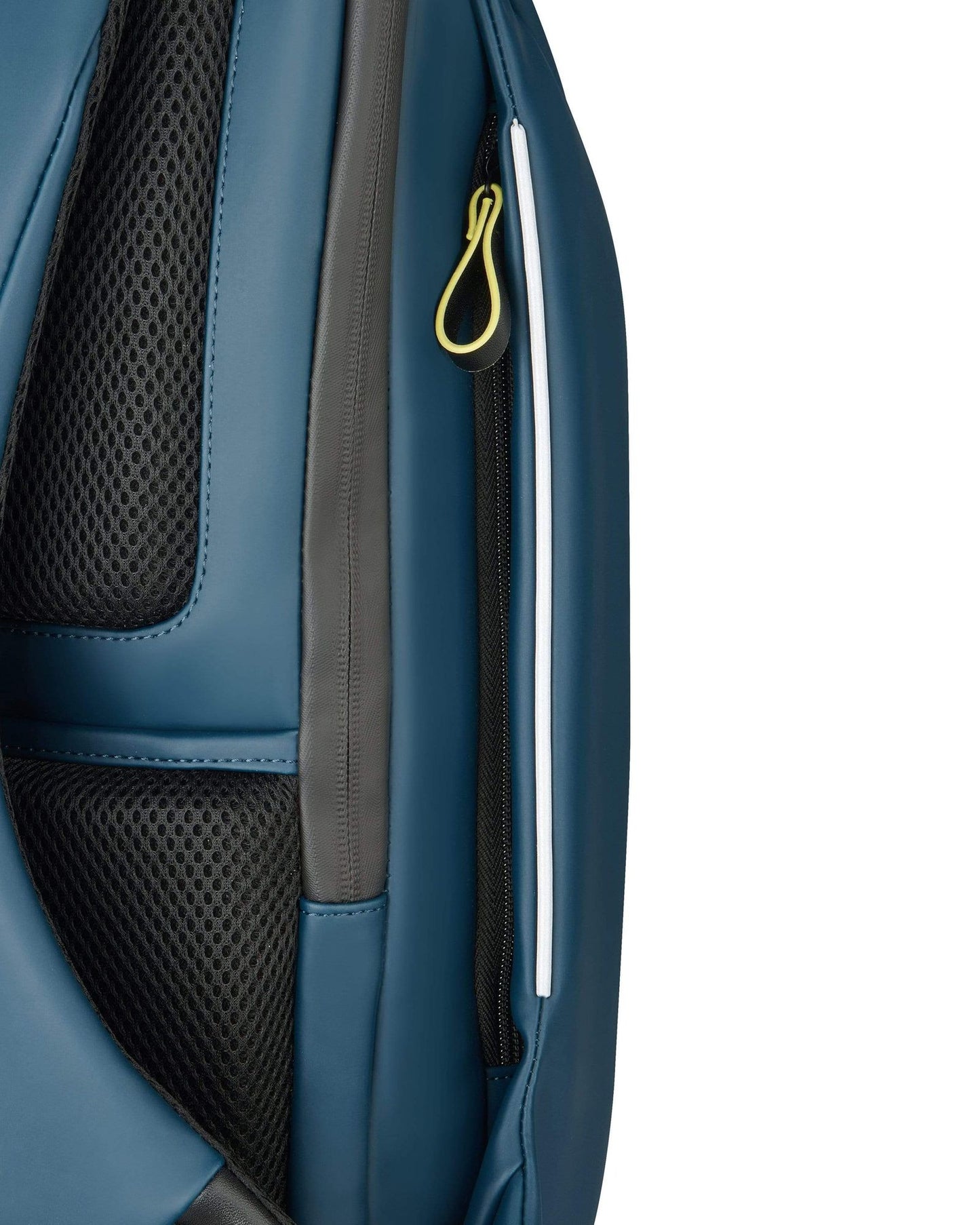 ديلسي باريس سيكورين