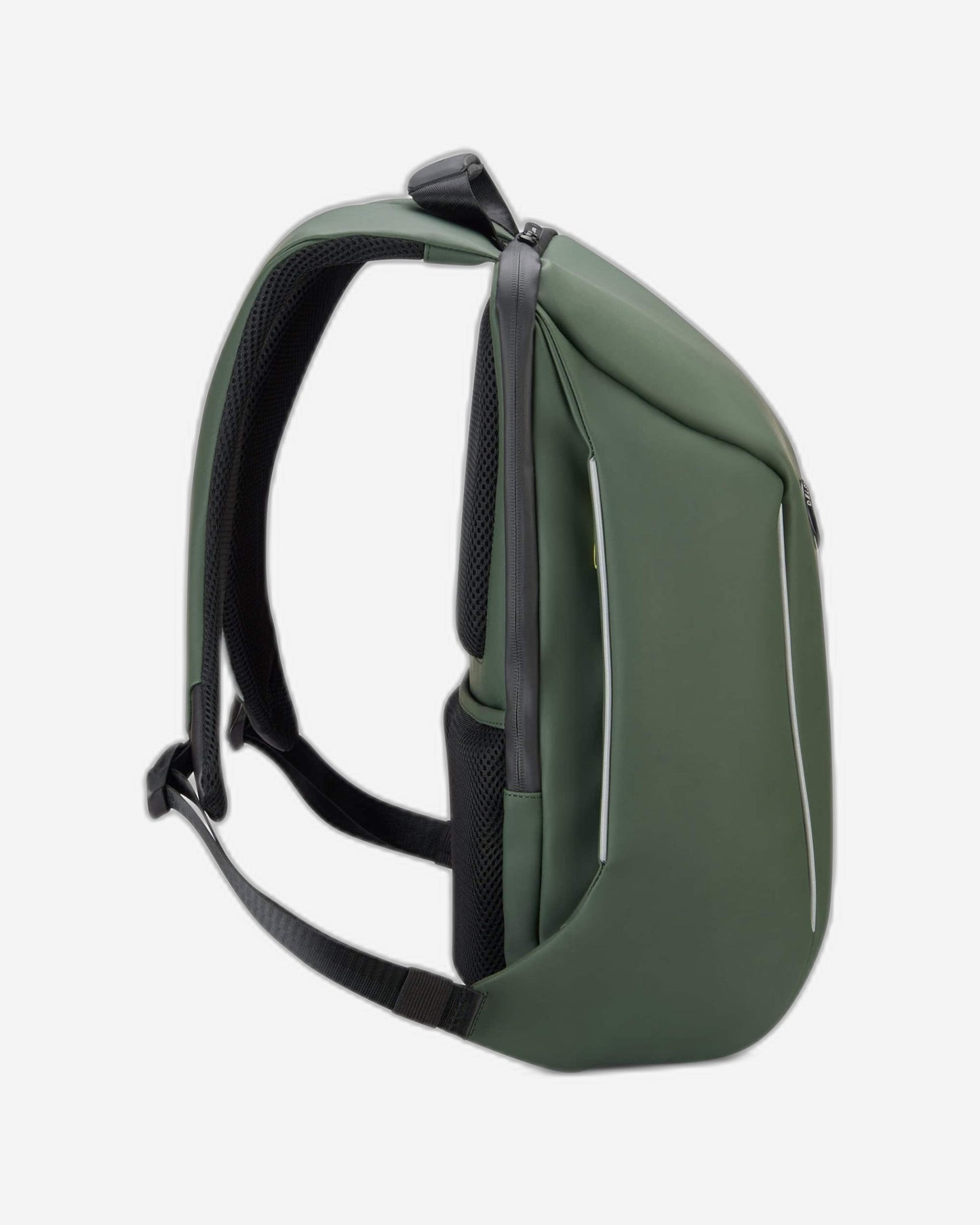 ديلسي باريس سيكورين