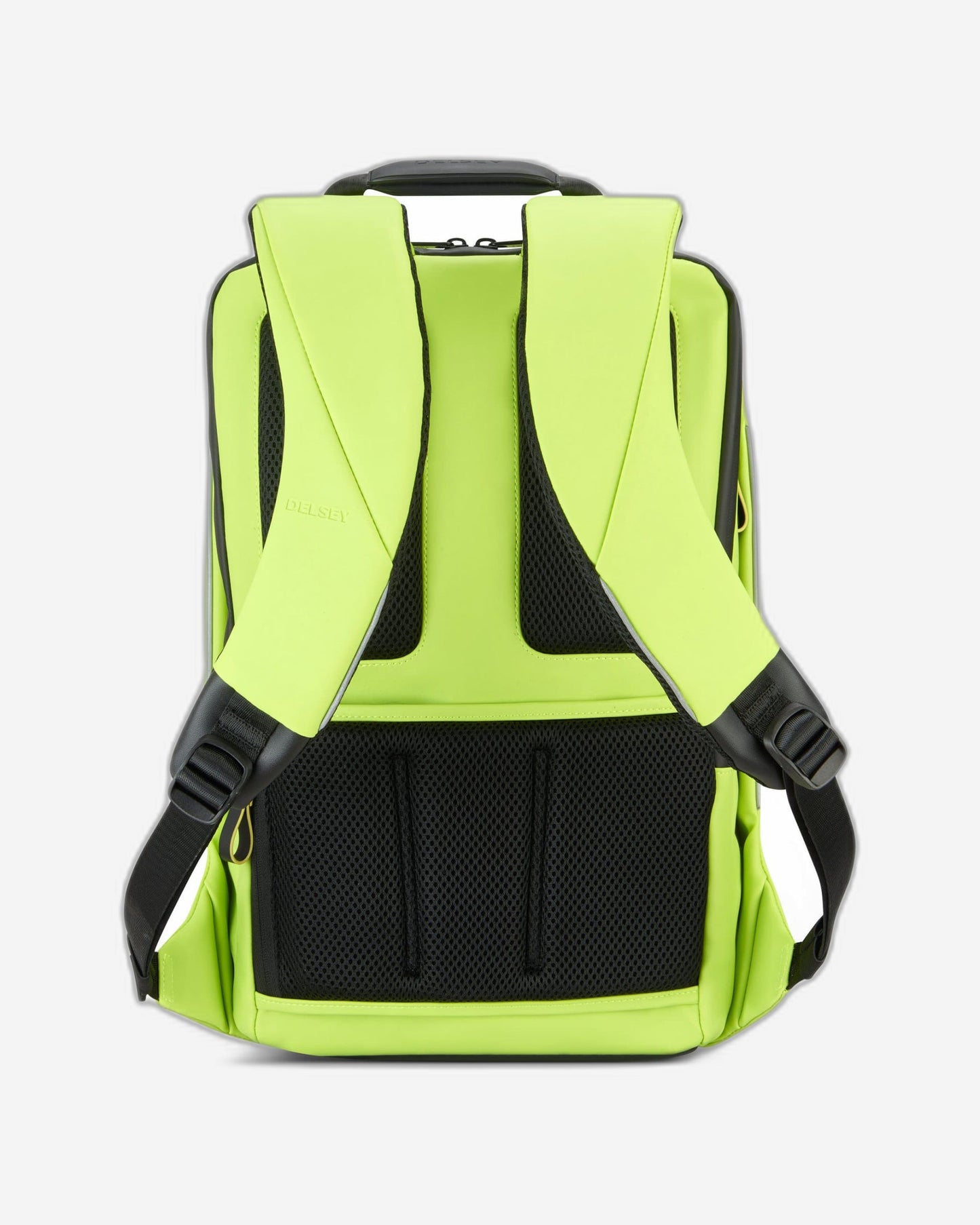 ديلسي باريس سيكورين