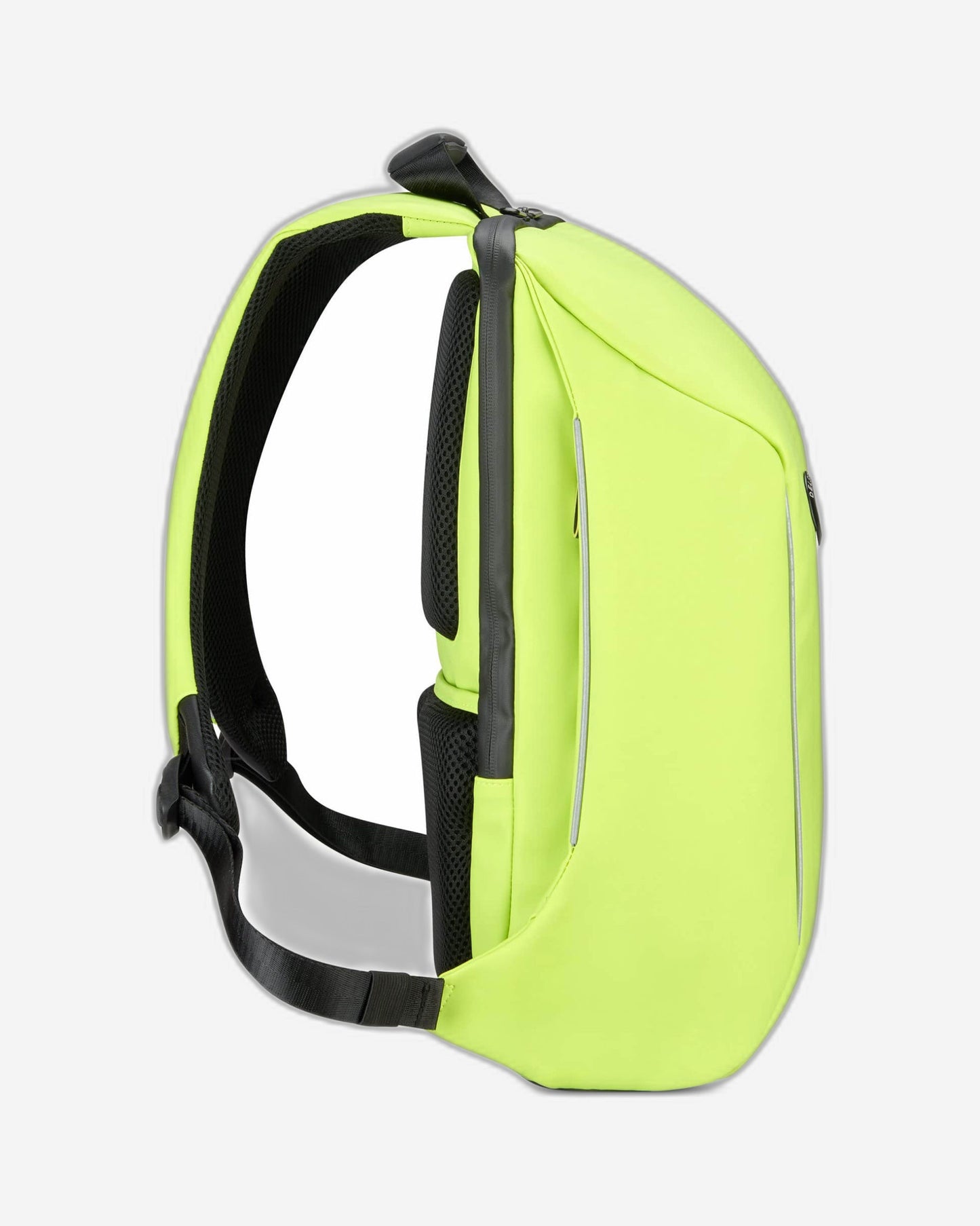 ديلسي باريس سيكورين