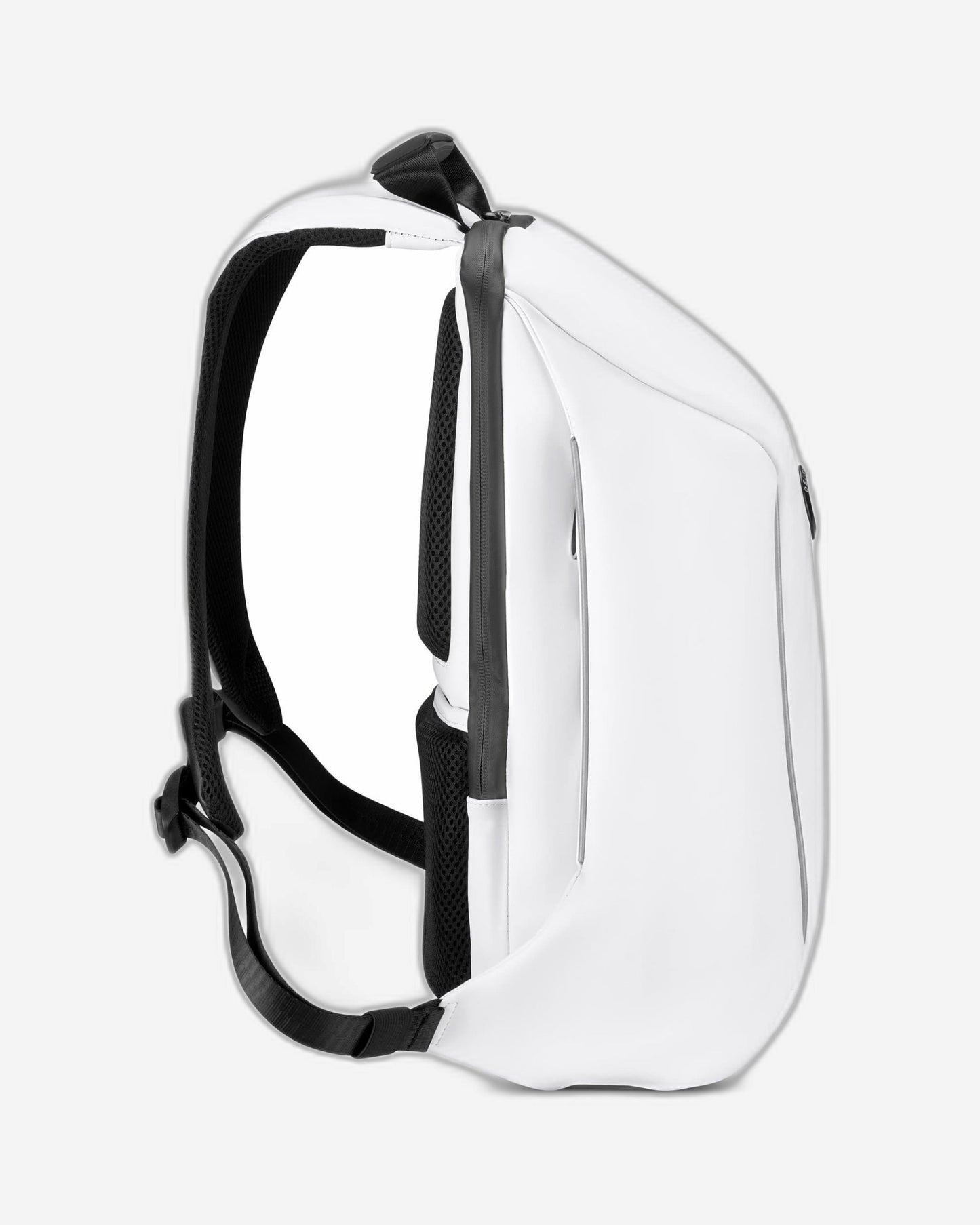 ديلسي باريس سيكورين