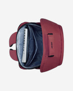 ديلسي باريس سيكوربان