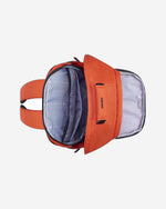 ديلسي باريس سيكوربان