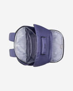 ديلسي باريس سيكوربان