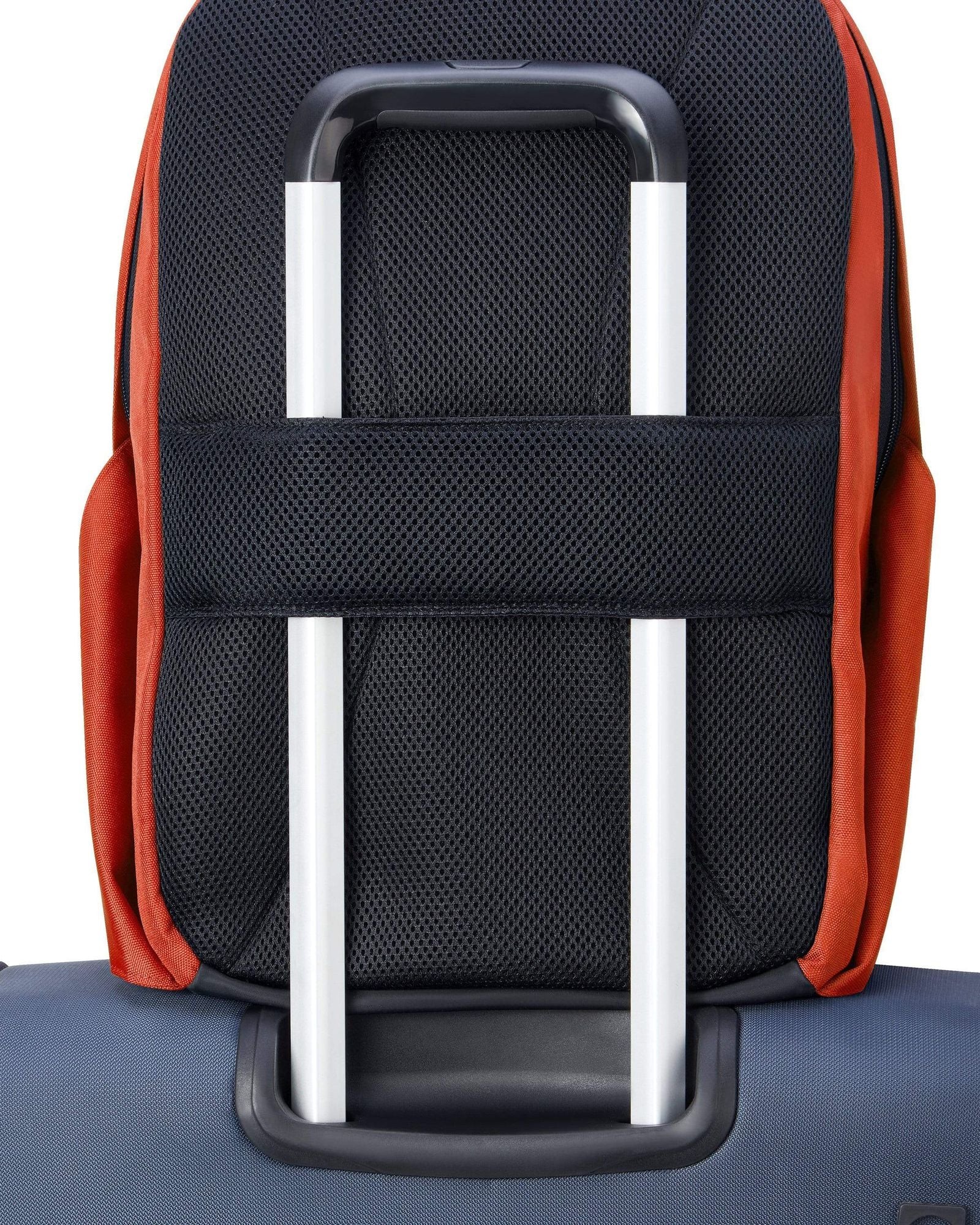 ديلسي باريس سيكوربان