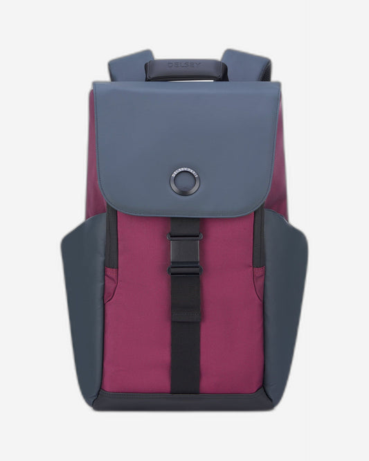 حقيبة ديلسي باريس سيكورفلاب