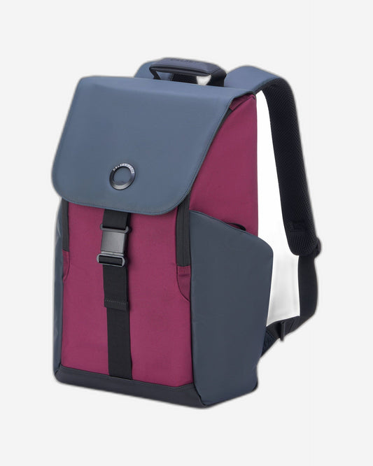 حقيبة ديلسي باريس سيكورفلاب