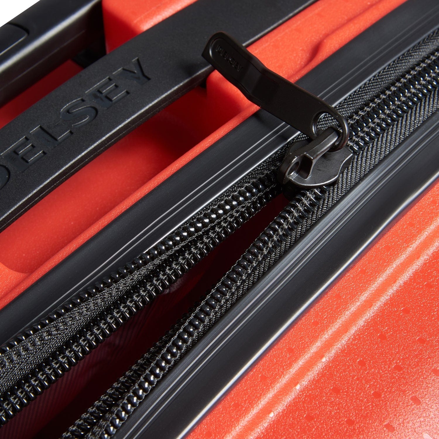 ديلسي باريس بلمونت بلس (غير قابلة للتوسيع)