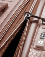 دلسي باريس كاروسيل