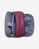 ديلسي باريس إليمنت فوييجر