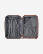 دلسي باريس كاروسيل