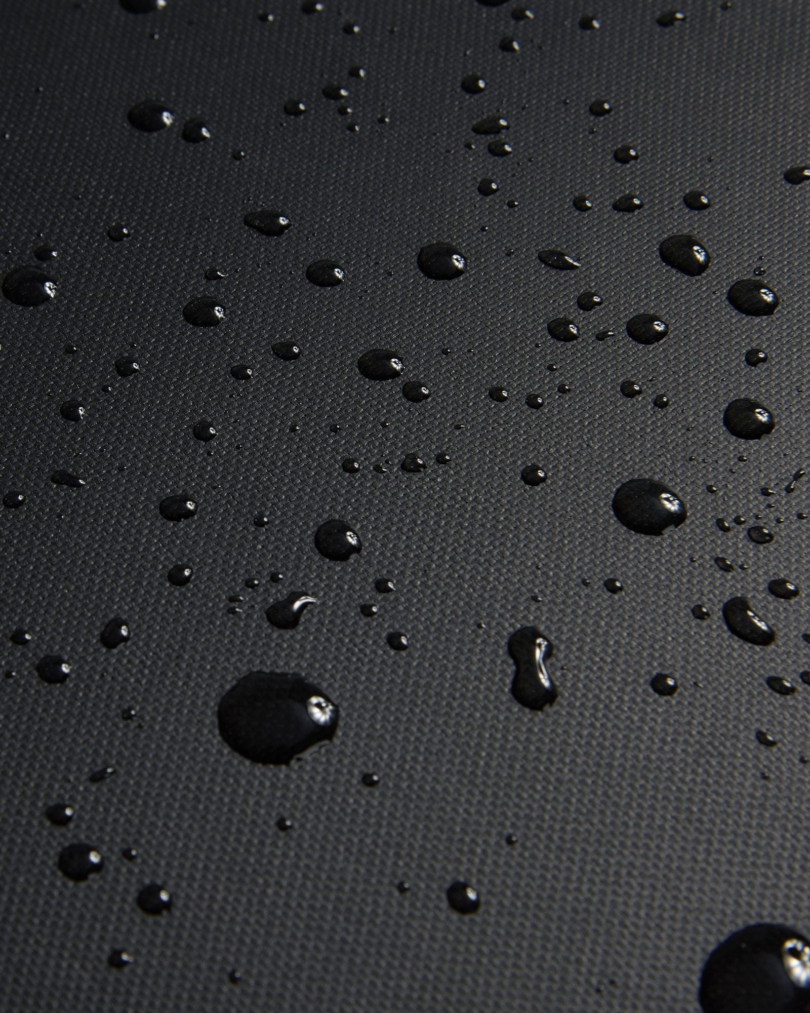 ديلسي باريس راسبيل