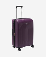 ديلسي باريس أوردينر 2.0