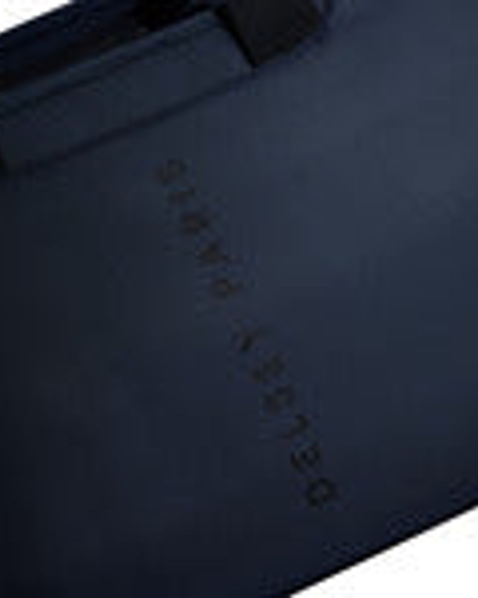 حقيبة ديلسي باريس آرشي ذات الحجرتين