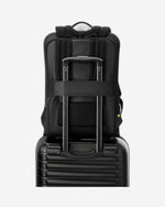 حقيبة ظهر ديلسي باريس آرشي ذات حجرتين