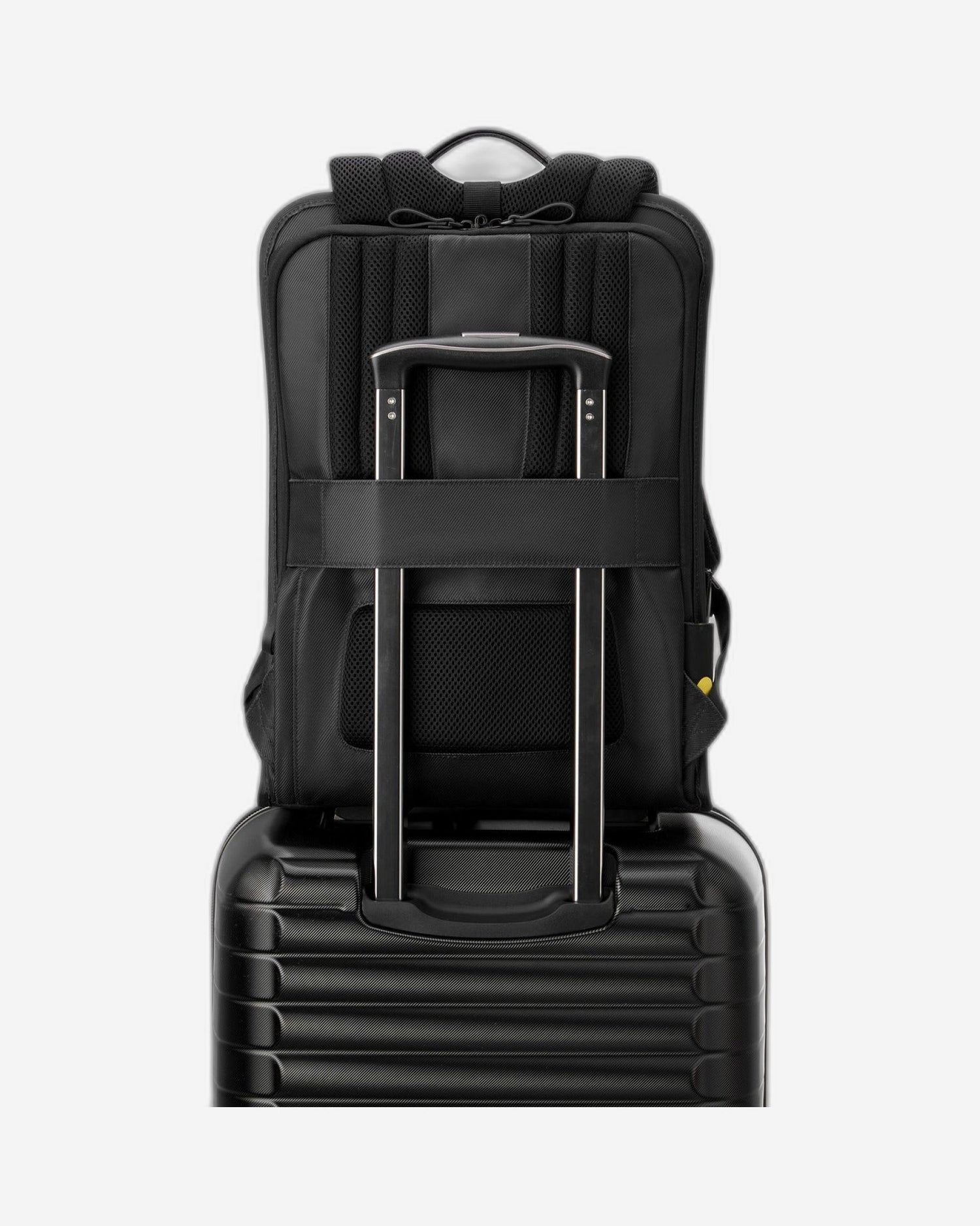 حقيبة ظهر ديلسي باريس آرشي ذات حجرتين