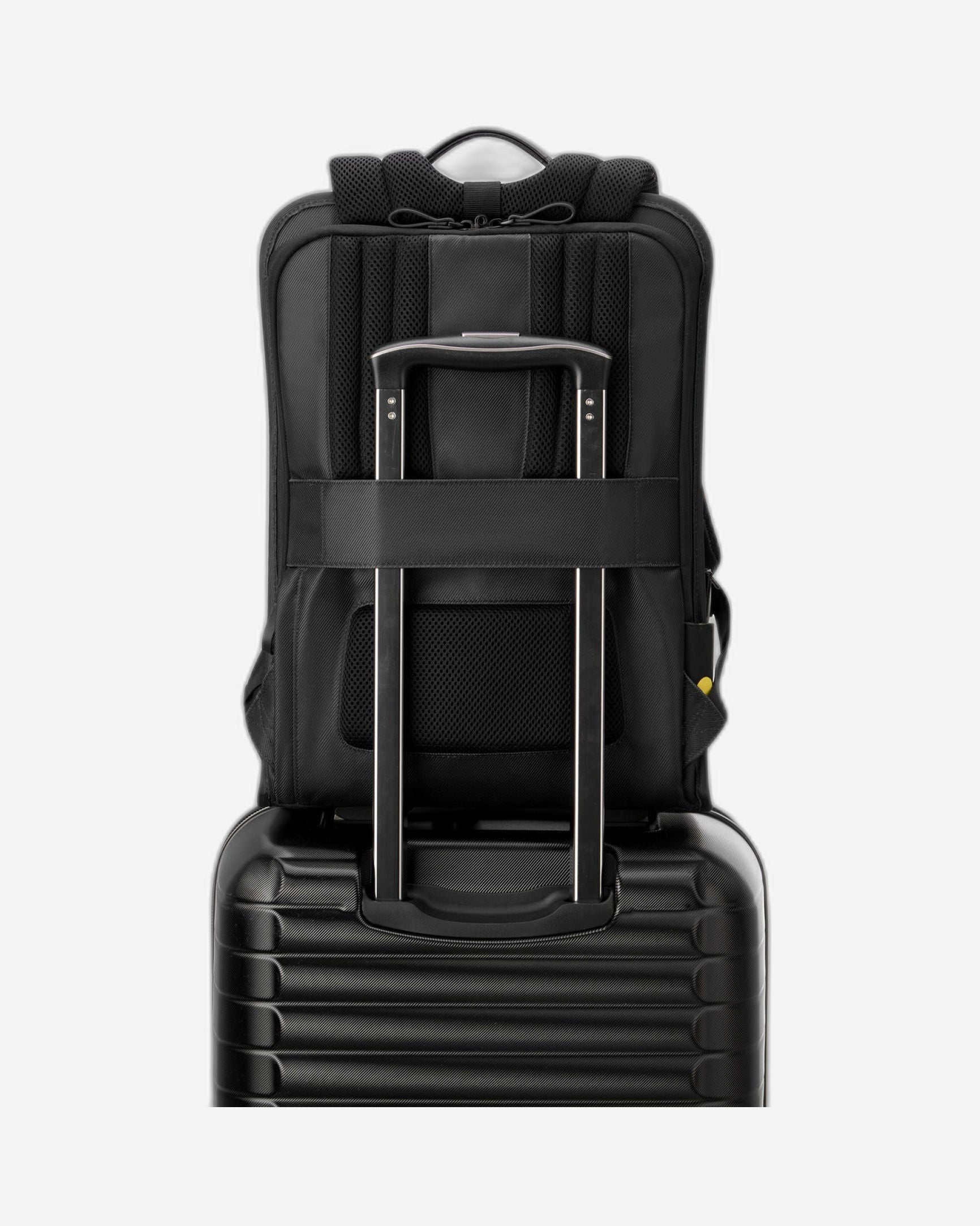 حقيبة ظهر ديلسي باريس آرشي ذات حجرتين