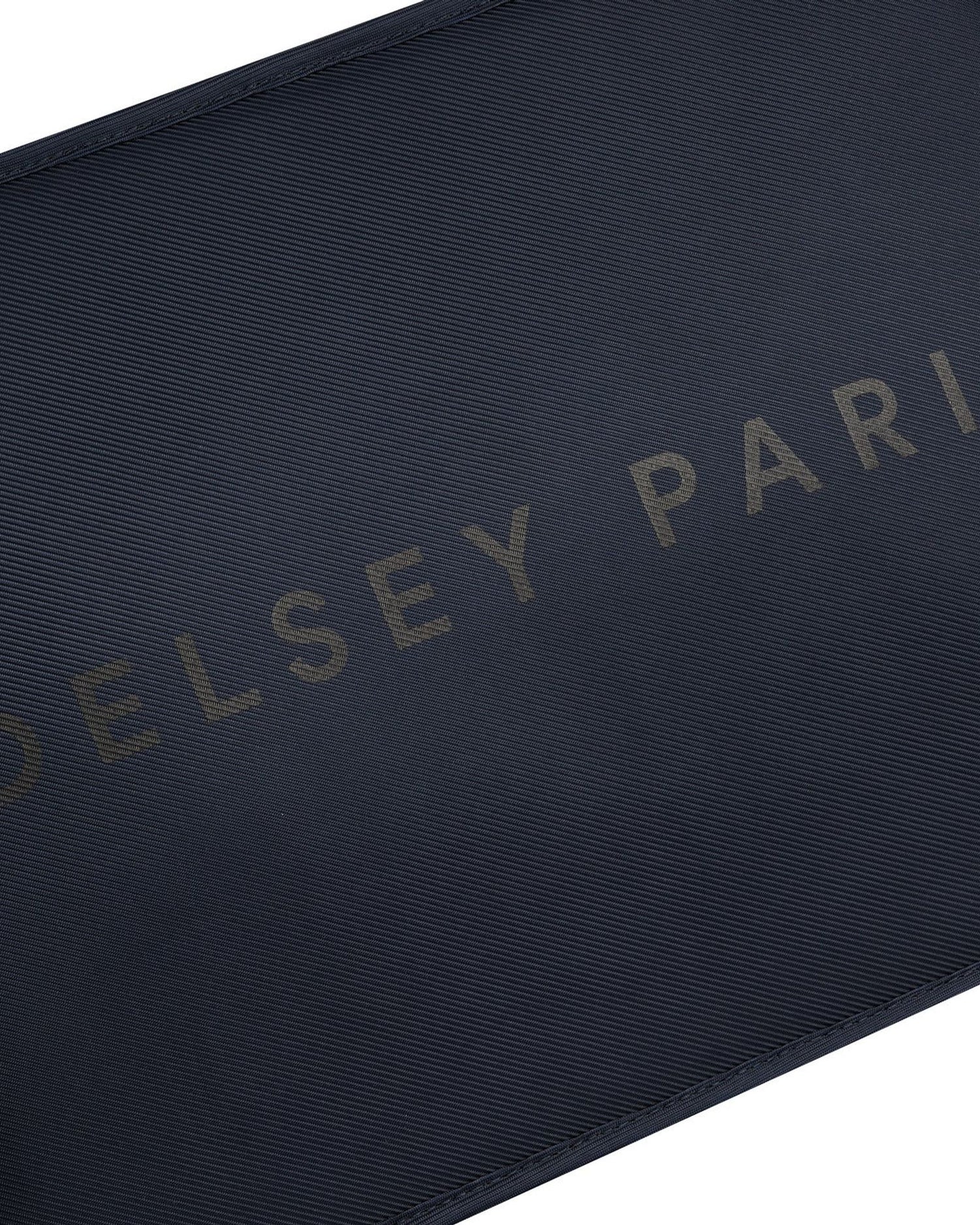 حقيبة ظهر ديلسي باريس آرشي ذات حجرتين