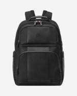 Delsey Wagram 2 Compartment Laptop Backpack 17.3 Inch