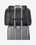 ديلسي باريس نوماد