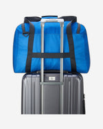 ديلسي باريس نوماد