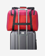 ديلسي باريس نوماد