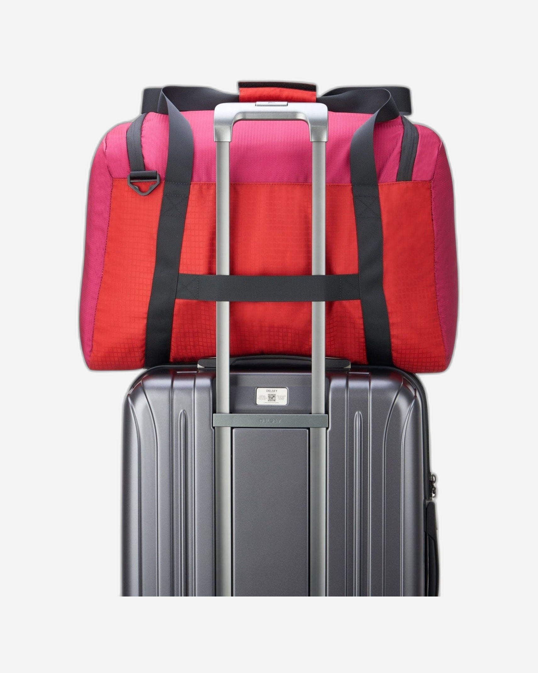 ديلسي باريس نوماد