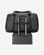 ديلسي باريس نوماد