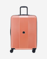 ديلسي باريس أوفيلي