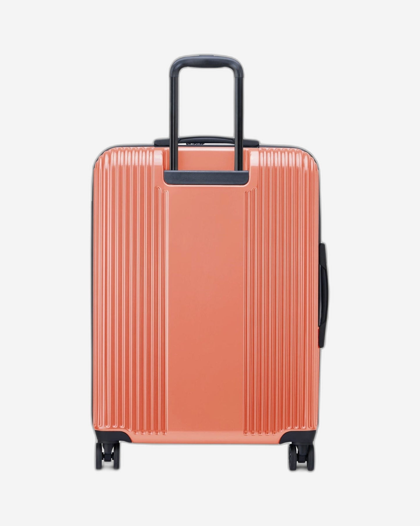 حقائب ديلسي باريس أوفيلي