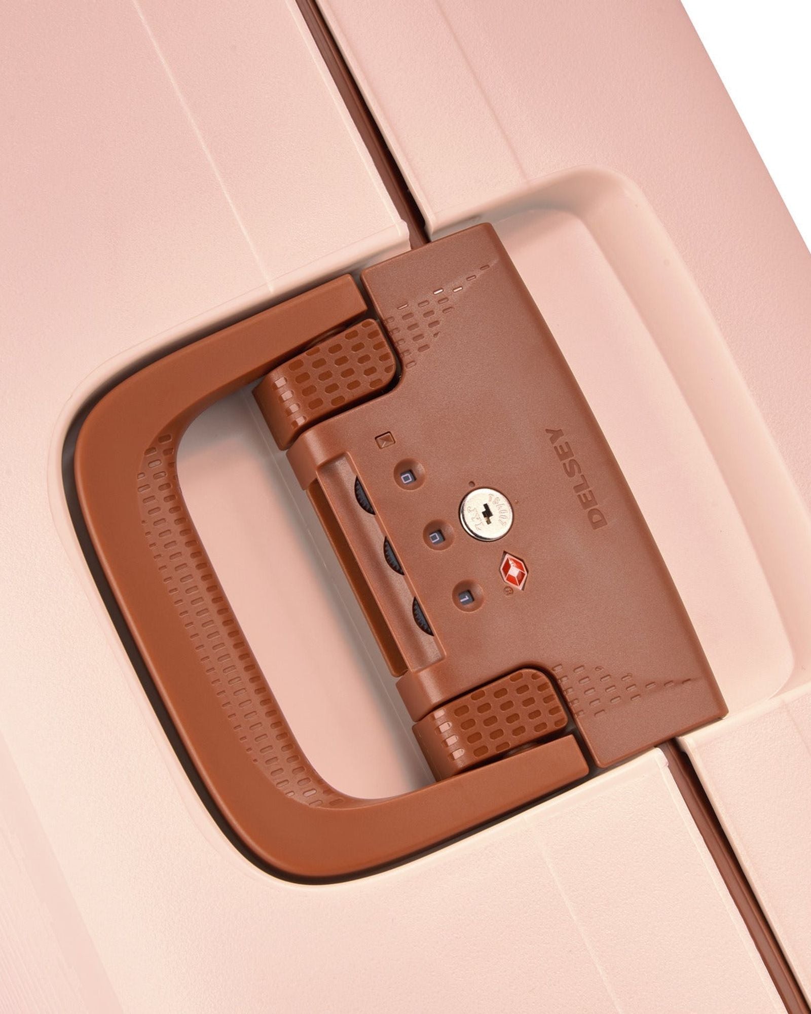 ديلسي باريس مونسي 2.0 (مجموعة مميزة)