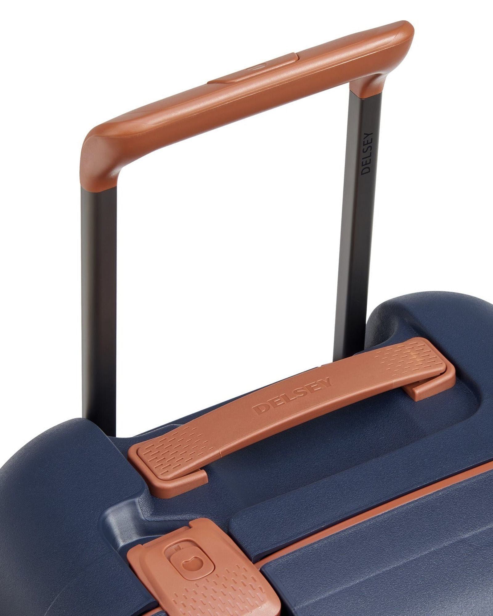 ديلسي باريس مونسي 2.0 (مجموعة مميزة)