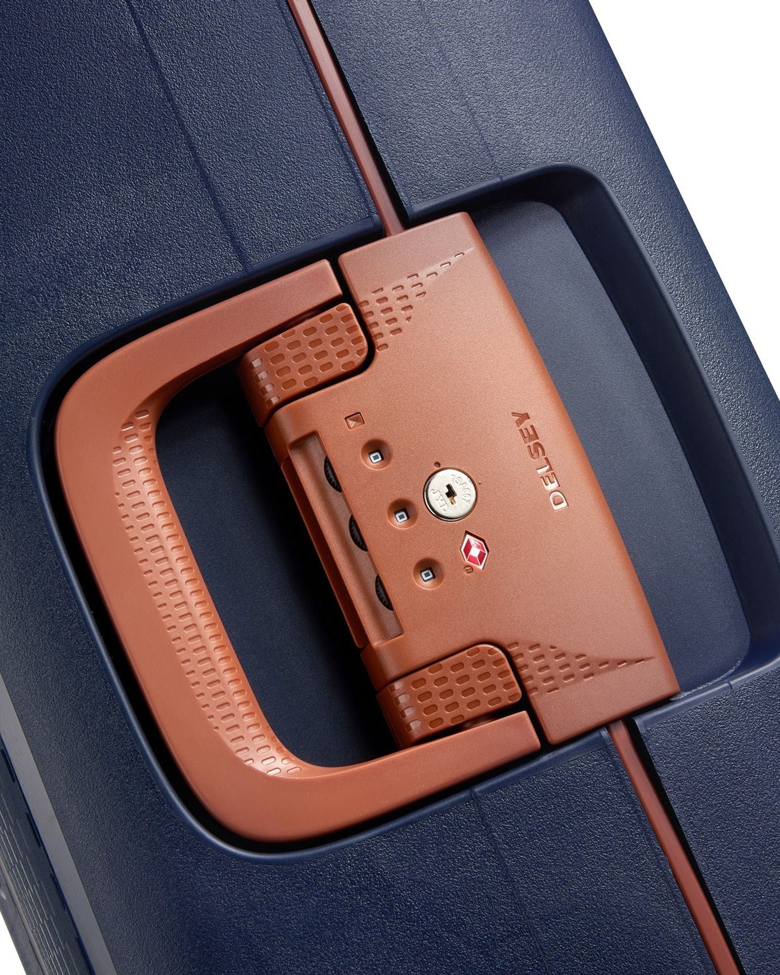 ديلسي باريس مونسي 2.0 (مجموعة مميزة)